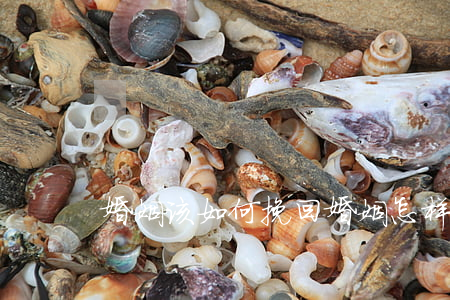婚姻该如何挽回，婚姻怎样挽回