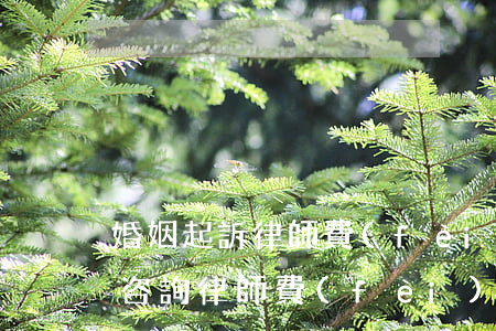 婚姻起訴律師費(fèi)是多少(婚姻糾紛咨詢律師費(fèi)用是多少錢)