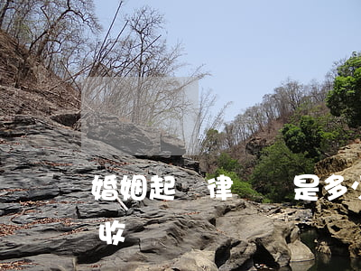 婚姻起訴律師費是多少(婚姻律師費一般怎么收費)