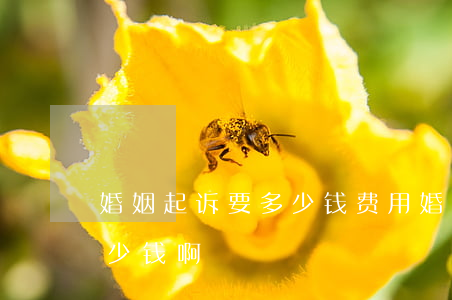 婚姻起诉要多少钱费用(婚姻起诉费一般是多少钱啊)