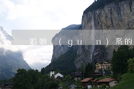 婚姻關(guān)系的訴訟可以上訴嗎(上訴和訴訟)