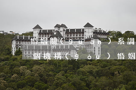 婚姻關(guān)系調(diào)解哪個機構(gòu)(婚姻家庭調(diào)解要找哪里)