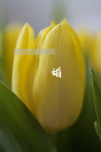 婚約贈與房產(chǎn)，婚后不能說“NO”！
