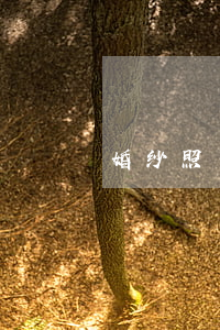 婚纱照一般多久能拿到