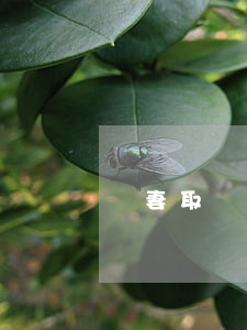 婦妻取對方的錢犯法嗎(夫妻可以取對方的錢嗎)