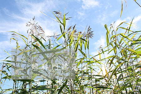 婦科門診法律法規(guī)(醫(yī)療機構的法律法規(guī)是如何規(guī)定的)