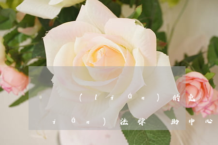 婦聯(lián)的免費律師(全國婦聯(lián)法律幫助中心)