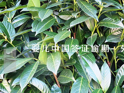 婴儿中国签证逾期-外籍儿童签证逾期处罚