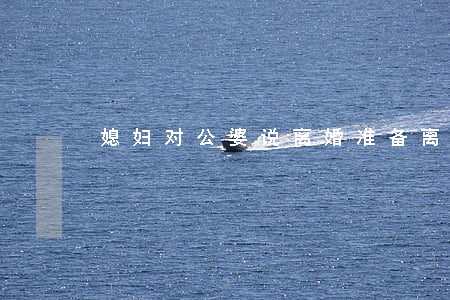 媳妇对公婆说离婚(准备离婚给婆婆说的话)