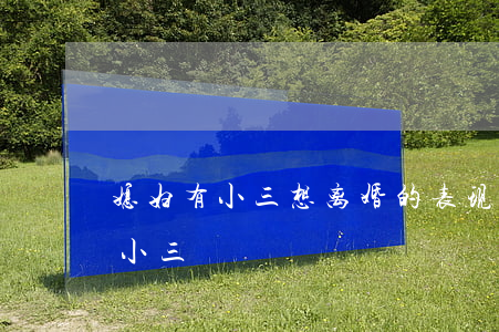 媳妇有小三想离婚的表现(老公找离婚女人当小三)
