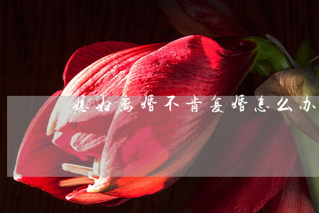 媳妇离婚不肯复婚怎么办