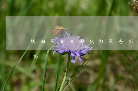 媳妇网贷逾期我能买房吗(网贷逾期可以买房吗?)