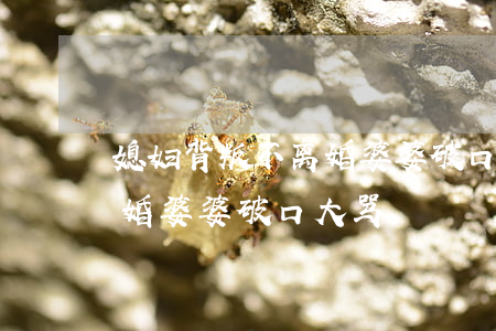 媳妇背叛不离婚婆婆破口大骂(媳妇背叛不离婚婆婆破口大骂)