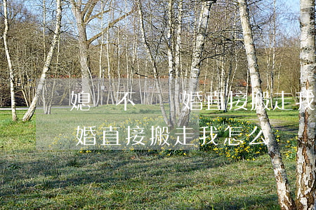媳婦不說離婚直接搬走我怎么辦(媳婦不說離婚直接搬走我怎么辦)