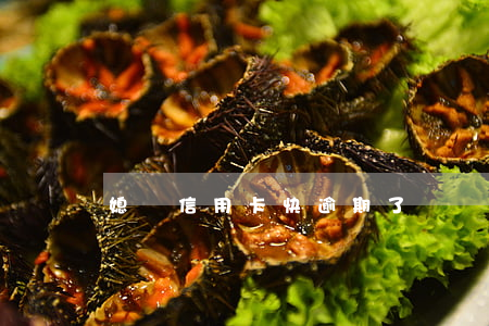 媳婦信用卡快逾期了沒錢還怎么辦