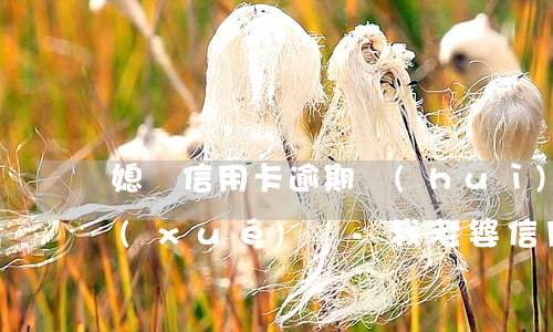 媳婦信用卡逾期會(huì)影響孩子上學(xué)嗎-我老婆信用卡逾期影響我貸款買房嗎