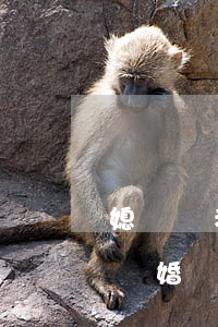 媳婦兒老是想離婚怎么辦(最近老是想和老公離婚)