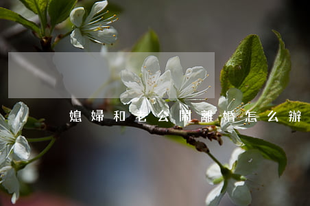 媳婦和老公鬧離婚怎么辦