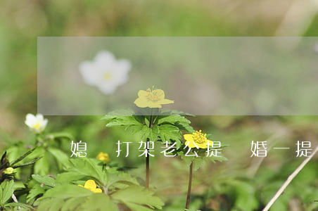 媳婦打架老公提離婚(一提離婚老公就打我)