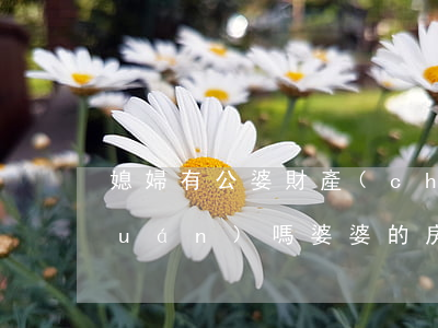 媳婦有公婆財產(chǎn)的繼承權(quán)嗎(婆婆的房產(chǎn)兒媳婦有繼承權(quán)嗎?)