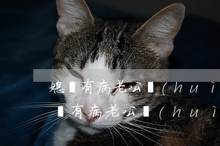 媳婦有病老公會(huì)跟別人離婚嗎(媳婦有病老公會(huì)跟別人離婚嗎)