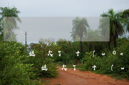 媳婦欠了幾十萬(wàn)網(wǎng)貸(媳婦欠了幾十萬(wàn)網(wǎng)貸)