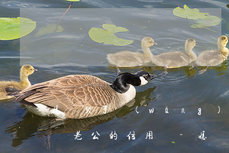 媳婦欠了網(wǎng)貸會(huì)影響老公的信用嗎-媳婦欠了網(wǎng)貸會(huì)影響老公的信用嗎知乎