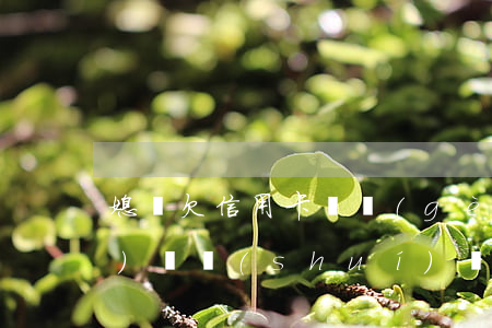媳婦欠信用卡這個(gè)錢應(yīng)該誰(shuí)來(lái)還-媳婦欠信用卡這個(gè)錢應(yīng)該誰(shuí)來(lái)還呢