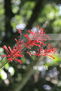媳婦欠網(wǎng)貸不停給丈夫打電話催債-媳婦欠網(wǎng)貸不停給丈夫打電話催債怎么辦