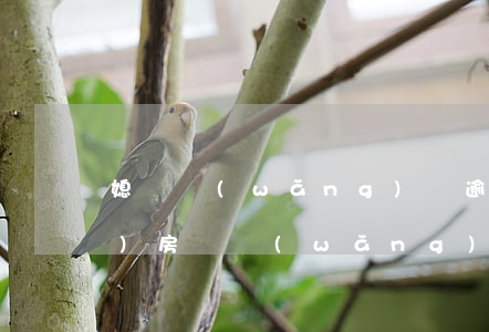 媳婦網(wǎng)貸逾期我能買(mǎi)房嗎(網(wǎng)貸逾期可以買(mǎi)房嗎?)