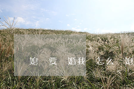 媳婦要離婚我該怎么辦(媳婦說要離婚怎么辦)