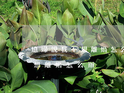媳婦說我不想離婚怎么辦(媳婦非要離婚我不想離婚怎么辦)