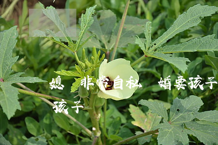 媳婦非常自私離婚要孩子(妻子提出離婚不要孩子)
