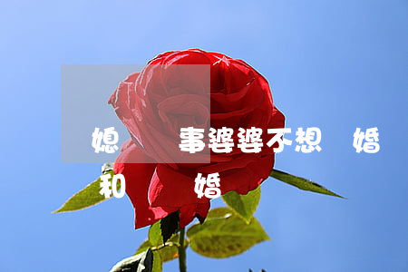 媳婦鬧事婆婆不想離婚(兩人鬧離婚婆家不勸和勸離婚)