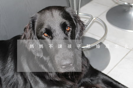媽媽不讓孩子離婚后怎么辦