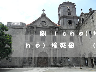 媽媽倒車(chē)撞死孩子(兒子被車(chē)撞死,母親復(fù)仇)