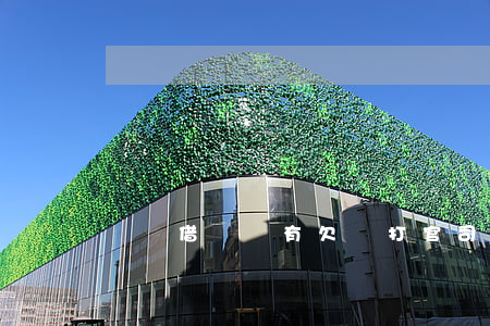 媽媽借錢沒有欠條打官司有用嗎