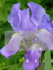 媽媽欠網(wǎng)貸會(huì)影響孩子上高中嗎-媽媽欠網(wǎng)貸會(huì)影響孩子上高中嗎知乎