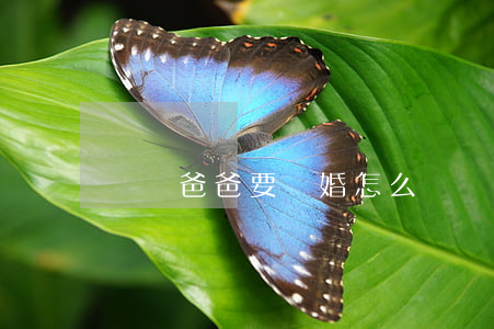 媽媽爸爸要離婚怎么辦