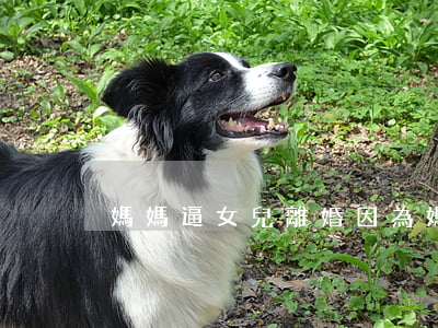媽媽逼女兒離婚(因為媽媽和老婆離婚了)