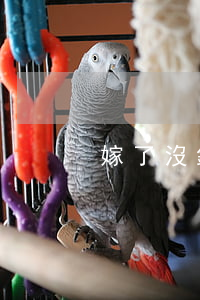 嫁了沒錢的老公想離婚怎么辦