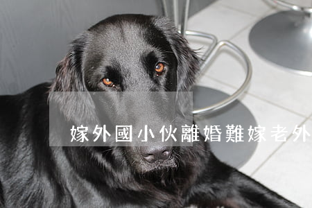 嫁外國小伙離婚難(嫁老外最終都離婚)