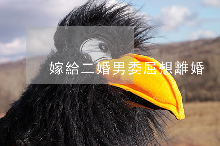 嫁給二婚男委屈想離婚