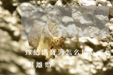 嫁給媽寶男怎么協(xié)商離婚(跟媽寶男離婚)