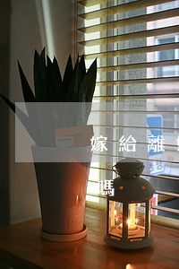 嫁給離婚男人過的好嗎(離過婚的男人可以嫁嗎)