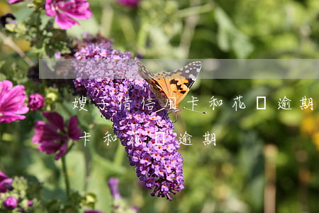 嫂子借信用卡和花唄逾期怎么辦（嫂子借信用卡和花唄逾期）