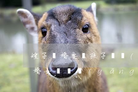 嫂子離婚要給孩子撫養(yǎng)費嗎(離婚女兒撫養(yǎng)費給多少)