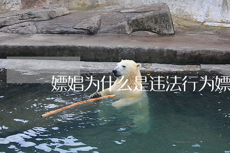 嫖娼为什么是违法行为(嫖娼违反的是什么法)