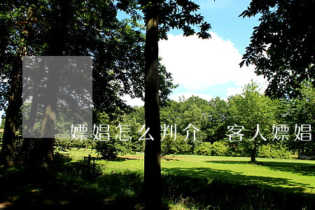 嫖娼怎么判(介紹客人嫖娼怎么判)