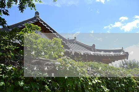 嫖娼怎么治安处罚规定(嫖娼怎么治安处罚规定是否写入档案)
